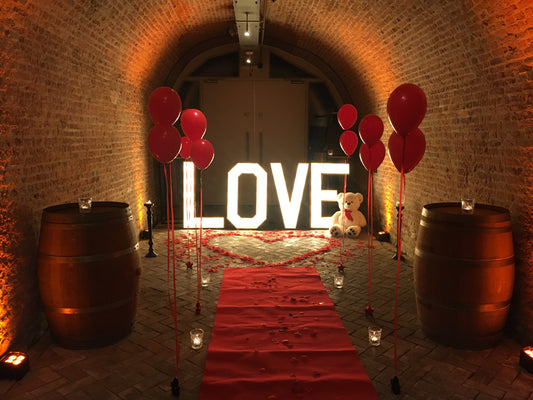 Kasteel kelders