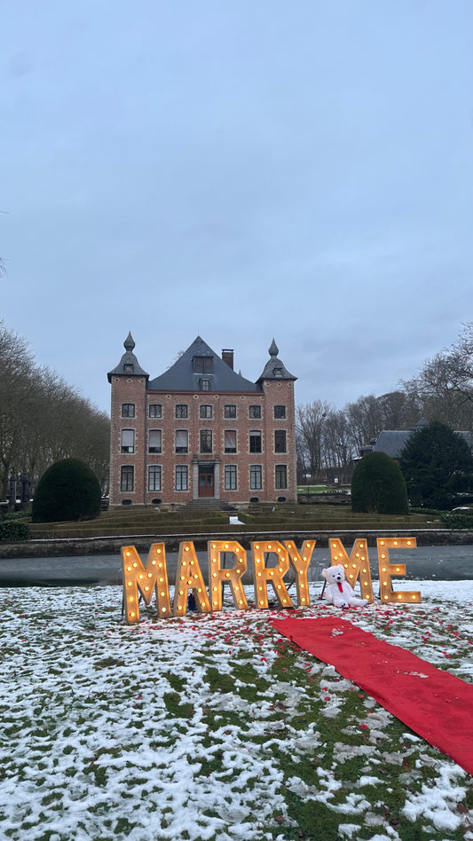 Kasteel de boezen